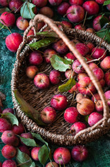 cestino con piccole mele selvatiche rosse e altre sparse su base verde  