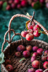 mele selvatiche rosse appese su manico di un cestino