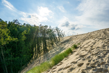 Obraz premium passage through sand dunes near baltic sea
