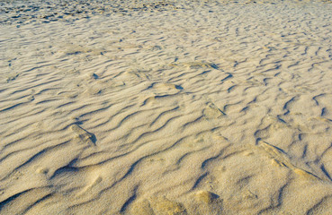 Sand dunes near a sea shore