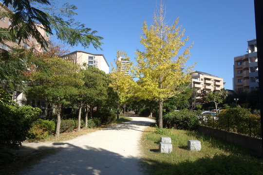 秋のテーマ　都市の公園