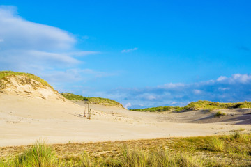 Sand dunes near a sea shore
