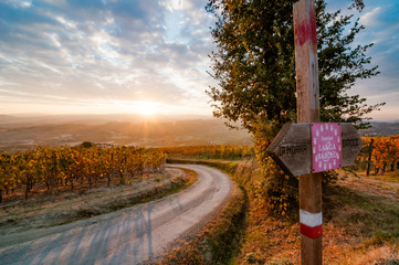 Panoramic view of Langhe vineyards in autumn