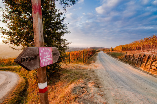 Panoramic view of Langhe vineyards in autumn