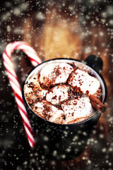 Hot Chocolate with marshmallows and candy stick, traditional bev