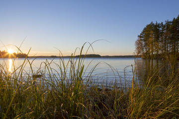 Sunset behind the grass.
