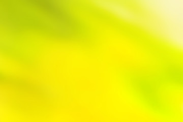 Blurred green and yellow background