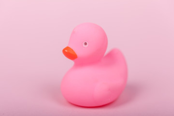 Cute pink rubber duck on pink background