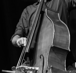 Musicista suona un contrabbasso, bianco e nero