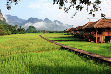 Green rice fields and mountains, Vang Vieng, Laos