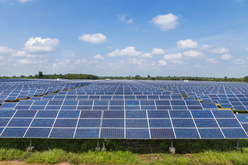 photovoltaics  solar panels in solar power station alternative  energy  from nature   - 122871656
