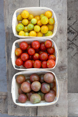 Tomates cerise de couleur en barquette 