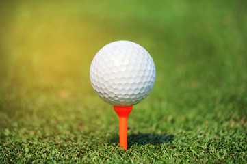close up golf ball with tee on green grass 