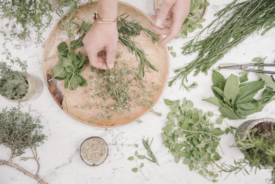 Overhead view of a woman preparing herbs and plants for use in cooking. Rosemary, chives, mint and coriander seeds. 