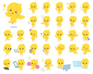 baby chick yellow bird