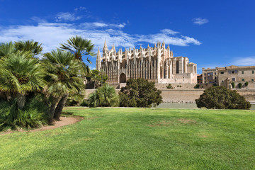 Fototapeta premium XXX - Palma de Mallorca - Kathedrale 