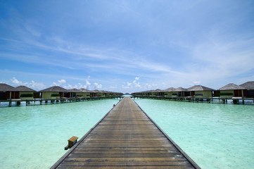 Fototapeta premium Paradise Islands with amazing nature, Maldives. March 15, 2012.