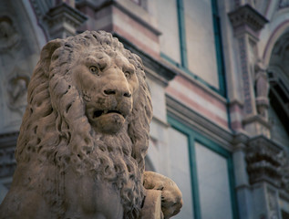 lion statue florence
