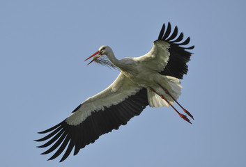 Pour un nid plus douillet