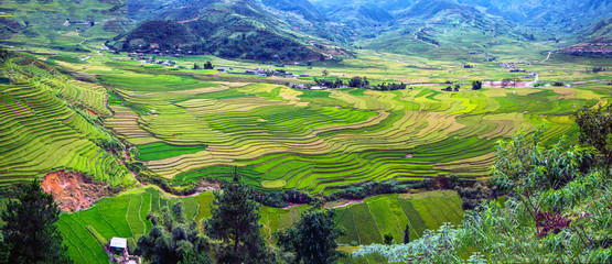 Panorama the terraced rice field view, Tu Le, Vietnam