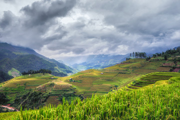 Terraced rice field view, La pa tan, Vietnam