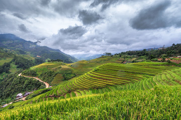 Fototapeta premium Terraced rice field view, La pa tan, Vietnam