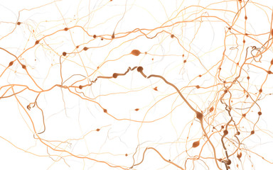 Neuron cells network, concept of neurons and nervous system 