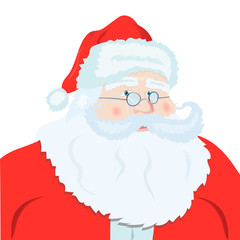 Santa Claus portrait. Funny cartoon character