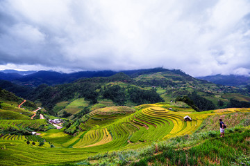 Terraced rice field view, La pa tan, Vietnam