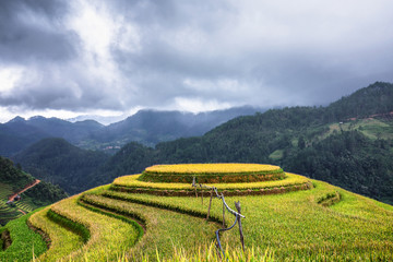 Terraced rice field view, La pa tan, Vietnam