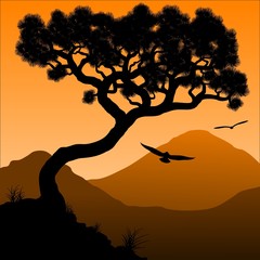 Silhouette of a tree and mountains in the background sunrise. 
