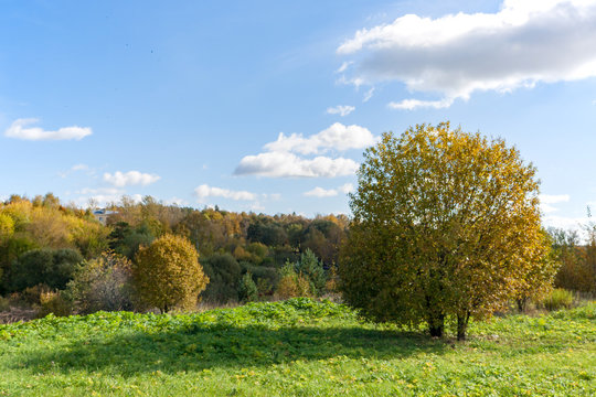 Country landscape in warm and sunny autumn day