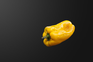 yellow pepper 3