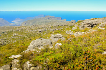 Fototapeta na wymiar Landscape of plateau in Table Mountain National Park. Cape Town, Western Cape, South Africa.