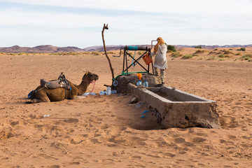 Berber and camel near the well, Morocco