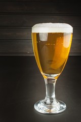 glass of beer on dark background. mug of beer on dark background.
