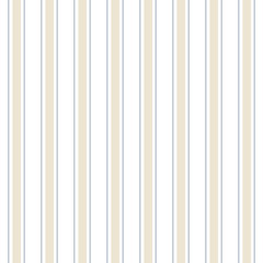 Abstract vector striped seamless pattern with colored stripes. - 122886839