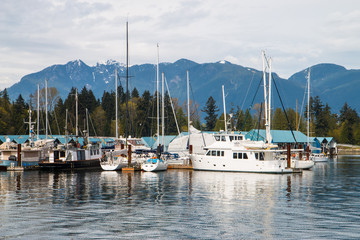 Vancouver Marina 2
