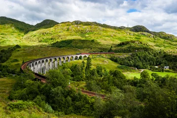 Cercles muraux Viaduc de Glenfinnan Steam Train on Viaduct