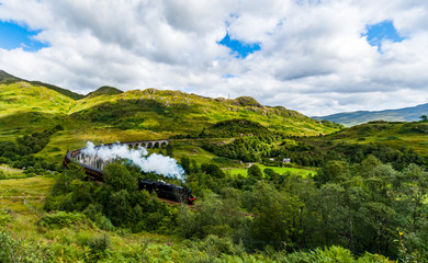 Obraz premium Steam Train on Viaduct