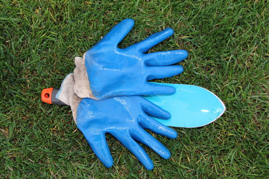 Garden rubber gloves and a trowel on the mown lawn in the autumn garden