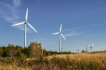 Wind turbine farm over blue sky at sunset