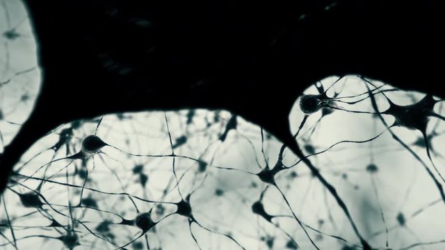 Visualization of the brain or neural net.

Fly through a network of neurons and synapses. Take a journey through the brain. 3D science visualization.
