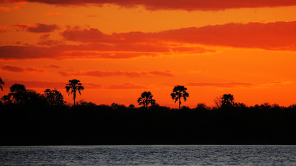 Fototapeta na wymiar Sunset in Zambezi River
