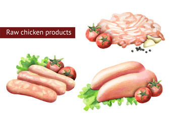Raw chicken products set. Watercolor