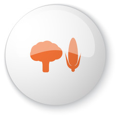 Glossy white web button with orange Vegetables icon on white bac