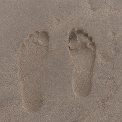 Footprints on the beach, Victoria Provincial Park, Prince Edward