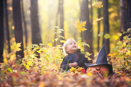 Halloween Baby Boy In Dracula Costume (cloak). Child In Autumn Forest Looking At The Falling Leaves. Halloween Pumpkin, Witch Hat, Holiday Concept