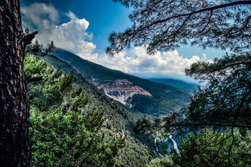 Landscape