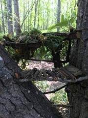 Fairy House in a Tree
